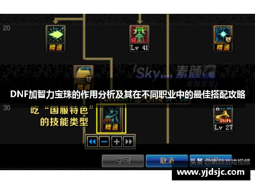 DNF加智力宝珠的作用分析及其在不同职业中的最佳搭配攻略