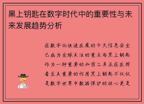 黑上钥匙在数字时代中的重要性与未来发展趋势分析